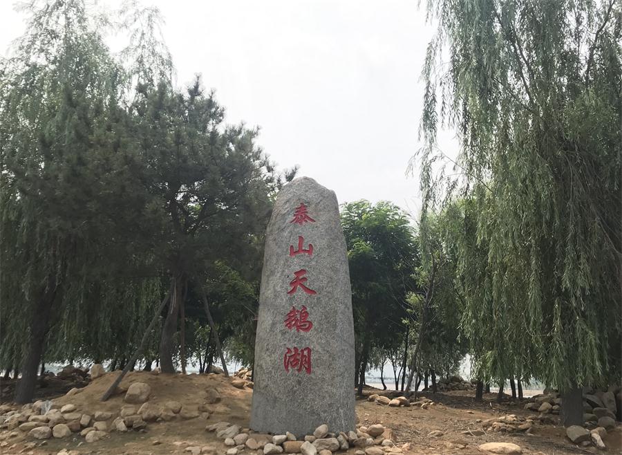 天鵝湖風(fēng)景區(qū)（泰山）速覽！(圖12)