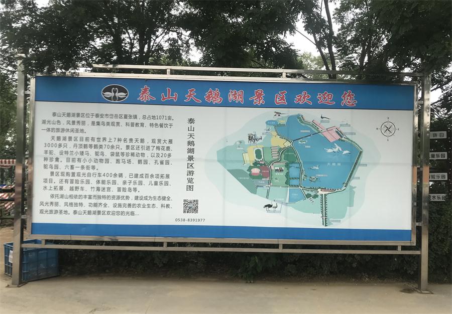 天鵝湖風(fēng)景區(qū)（泰山）速覽！(圖2)