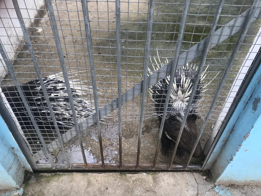 天鵝湖風(fēng)景區(qū)（泰山）速覽！(圖10)