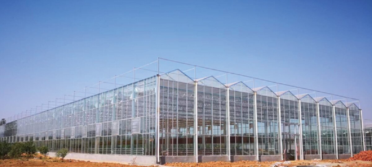 信橋鋼構(gòu)：打卡蒙陰農(nóng)業(yè)溫室大棚、青州黑牛養(yǎng)殖基地！(圖2)